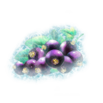 cassis gelee