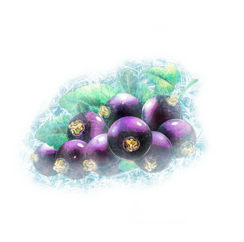 cassis gelee