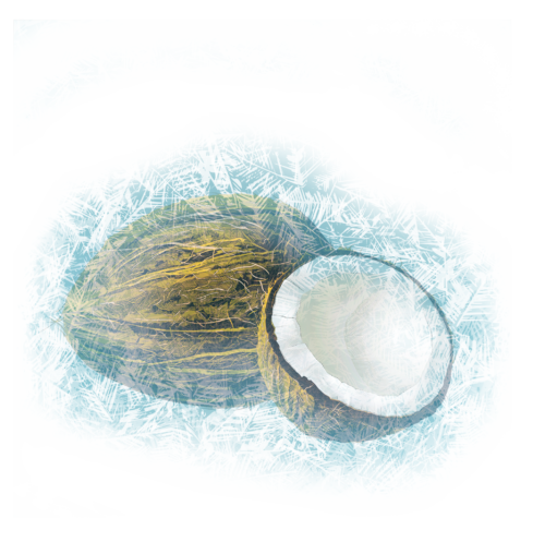 coco gele