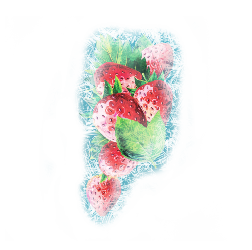 fraise des bois gelee