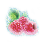framboise gelee