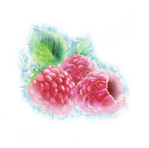 framboise gelee