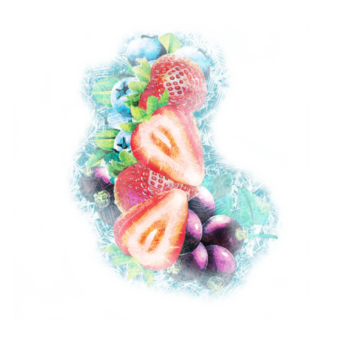 fruit rouges gelee