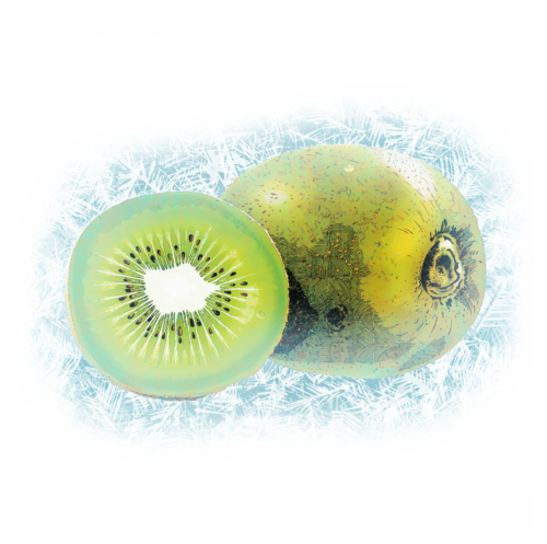 kiwi gelee