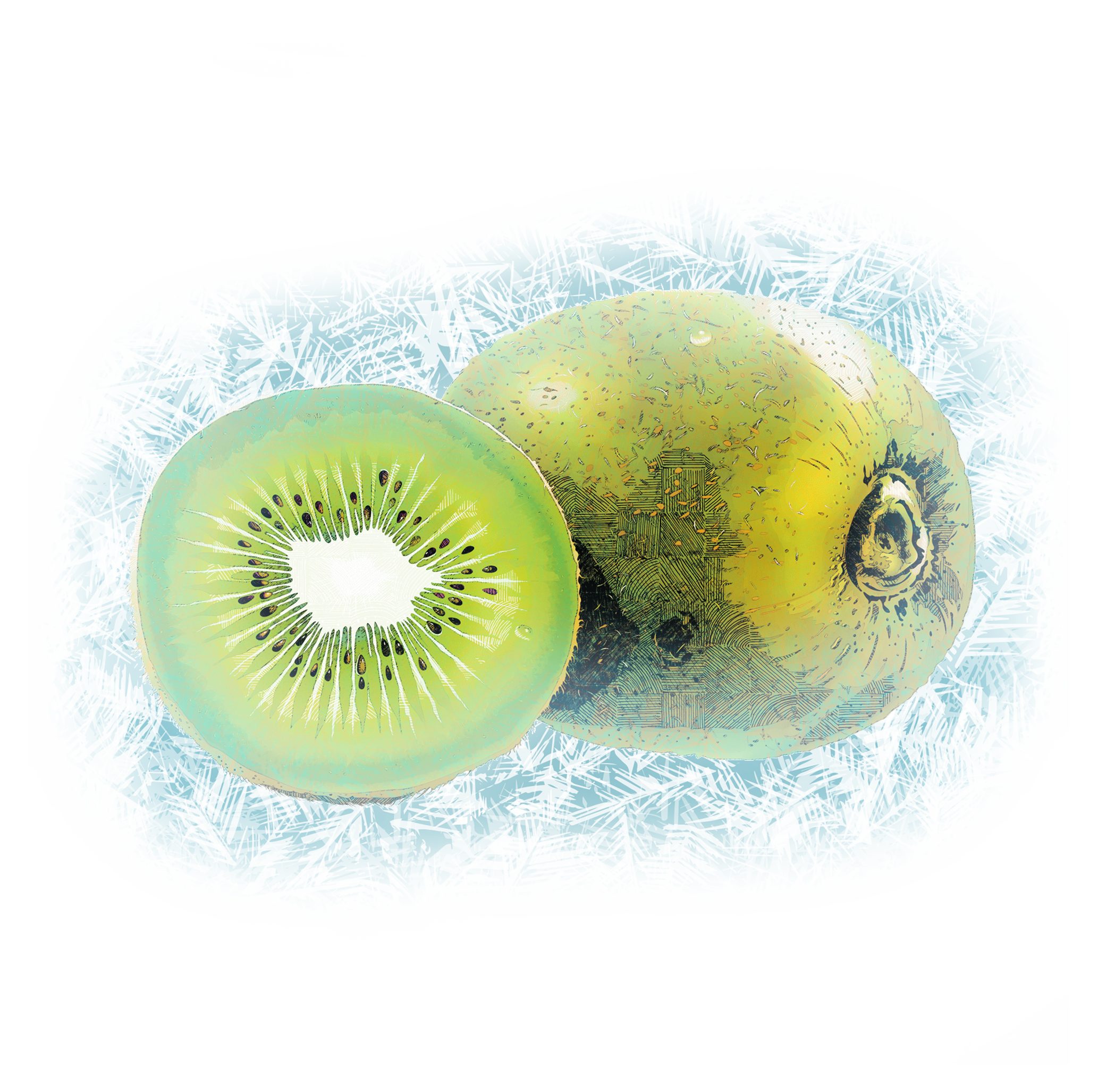 kiwi gelée