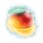 mangue