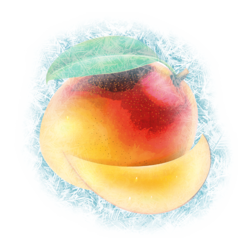 mangue