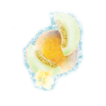 melon gelee
