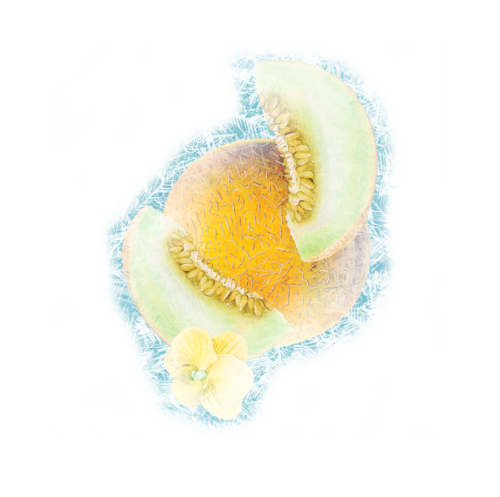 melon gelee