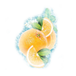 orange gelee