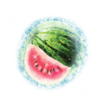 pasteque gelee